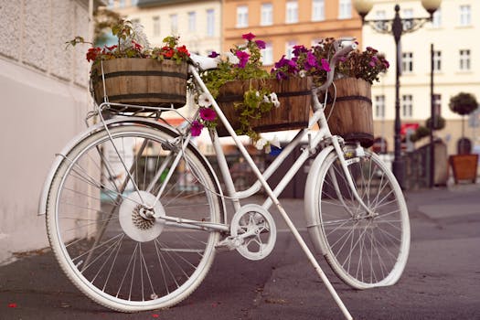 Top Bicycle Routes in Europe: A Guide to Czech Republic's Best Trails